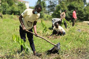 First planting phase took place in Uganda in the fall of 2022 as part of the STIHL climate project.