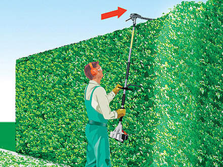 : Cutting the tops of tall hedges The angled cutter bar enables even the top of tall hedges to be cut above head height.