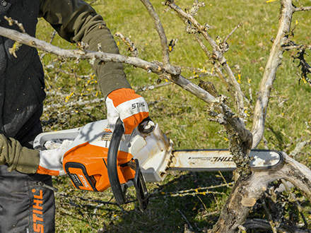 Pruning and cutting to length: Long battery runtime, a chain speed of up to 24 m/s, and the low-kickback cutting characteristics of the 3/8" STIHL Picco Super chain mean that trunks are quickly freed of branches and cut into small pieces.