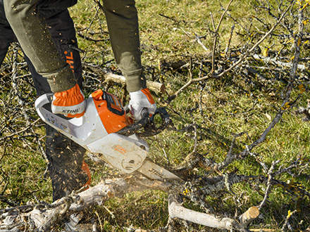 Cutting scrub into small pieces: This agile powerhouse is also great for processing bulky branches into kindling that can be easily transported away and disposed of.