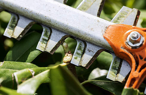 Close-up of the teeth of a STIHL HS 82 hedge trimmer and a cut stem