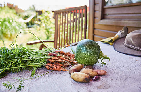 Muddy carrots, a green squash and potatoes on a garden table with a hat and gloves beside them