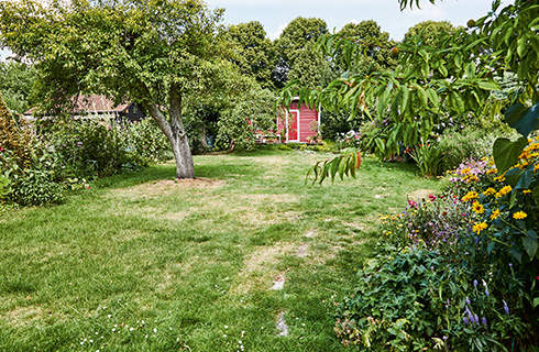 A large plot with green lawn, trees, flowers and a small red shed