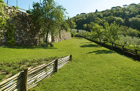 A large area of green grass with tall trees in the distance, a dry stone wall in the background, and a rustic wooden fence in the foreground