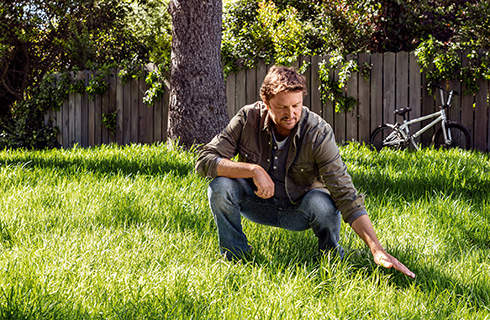 A man crouches down on a lush, healthy green lawn, looking at it and touching it with one hand. There is a tree and a bike in the background.