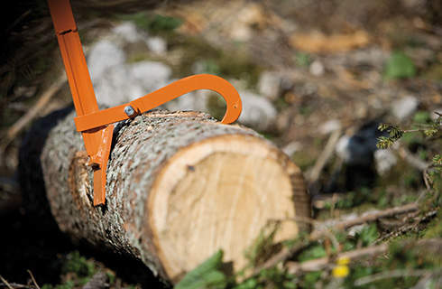 Close-up of a STIHL felling lever holding a tree trunk on the forest floor
