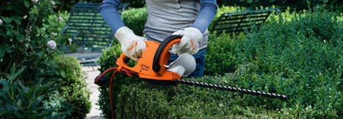 The correct way to cut hedges