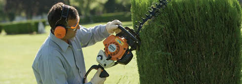 How to maintain and trim your hedge