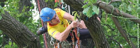 European Tree Climbing Championship, ETCC