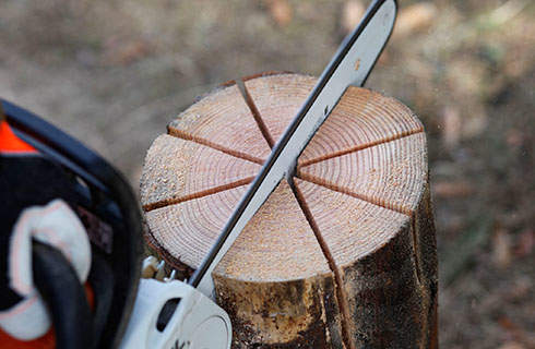 A STIHL MS 181 C petrol chainsaw being used to make eight cuts into the end of an upright log, in a star shape