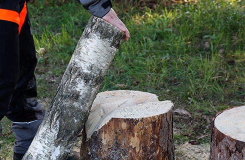 DIY wooden candlesticks: A log being placed into a V-notch cut into a tree stump