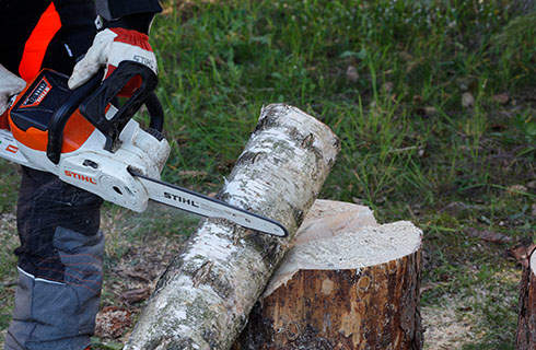 DIY wooden candlesticks: A STIHL MSA 140 C cordless chainsaw being used to cut a mark around a slim log