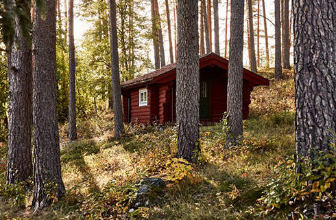 A red log cabin among trees