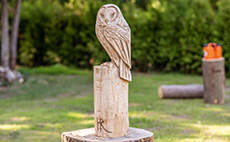 Carving a wooden owl with your chainsaw