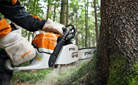 The STIHL MS 362 C-M chain saw with M-Tronic