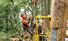 STIHL tools and equipment in use