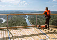 Discover special places: Treetop walk
