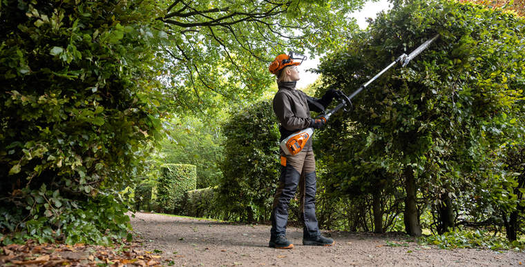 A gardener and landscaper prunes a hedge using the STIHL HLA 135 cordless long-reach hedge trimmer.