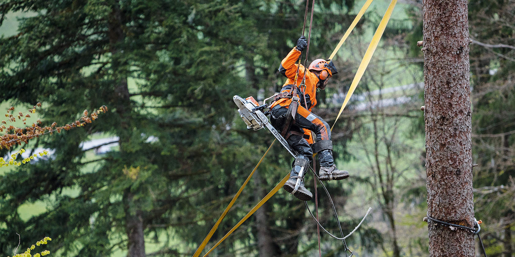 When used in the tree canopy, or for felling or pruning, the STIHL MS 462 proves that it is not just lightweight, but also extremely powerful.
