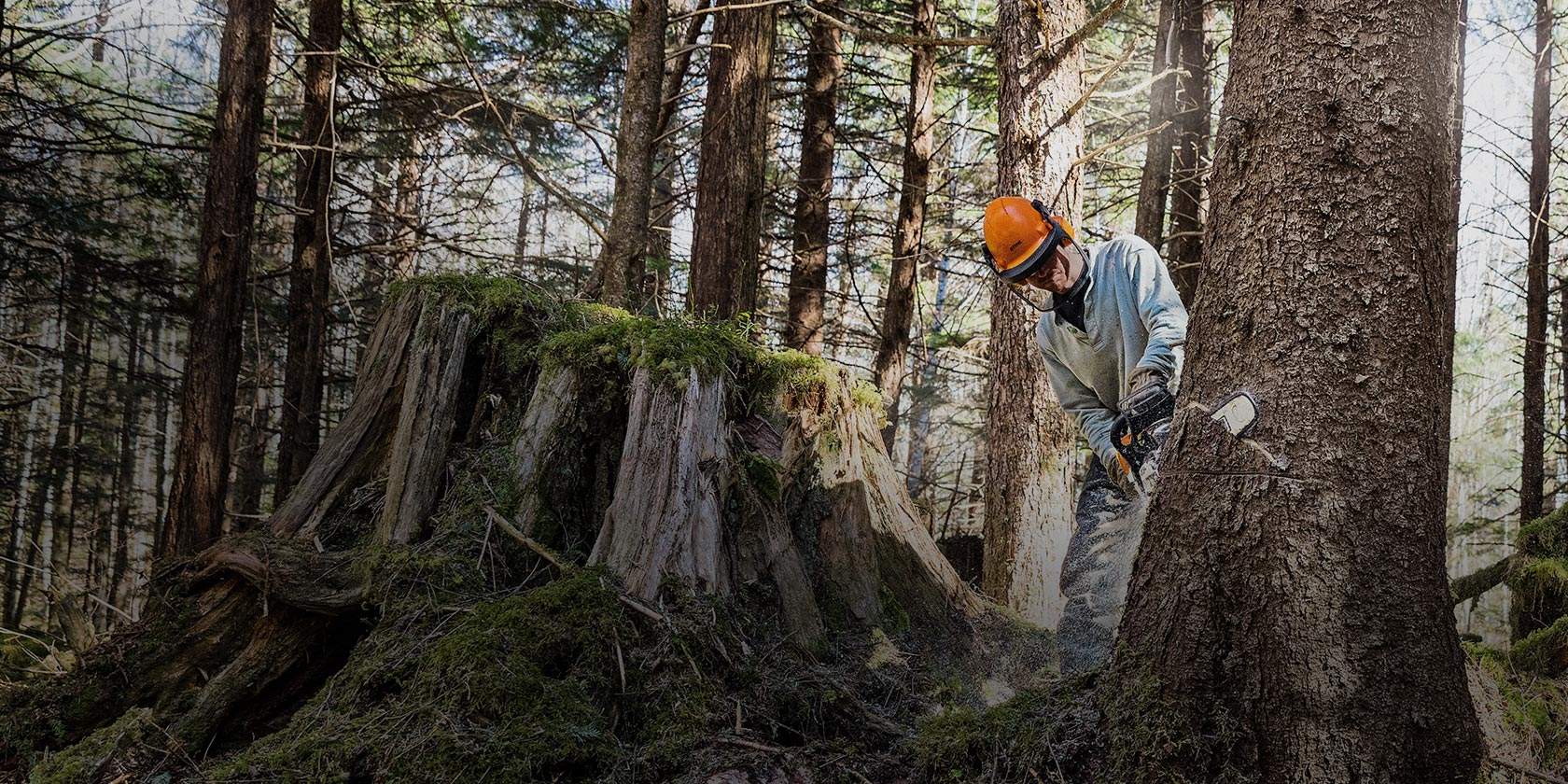 The STIHL MS 462 has a slimmer, lighter sprocket cover with integrated slide rails and guide edges, for less effort when pruning and easier guidance of the chainsaw on the trunk.