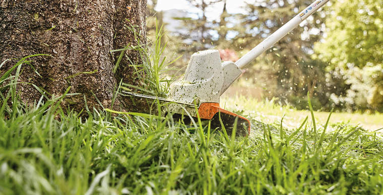 STIHL brushcutter trims lawn at the edge of a tree